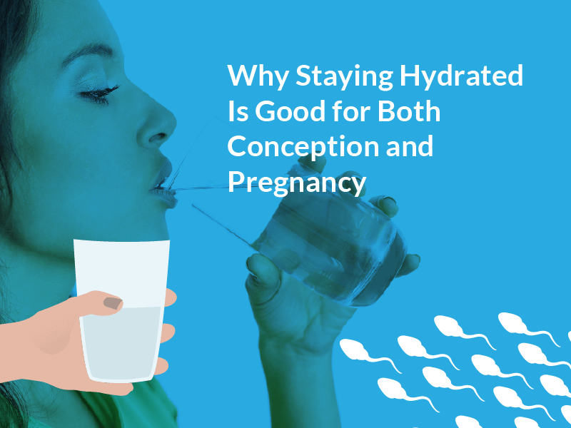Drinking water preconception