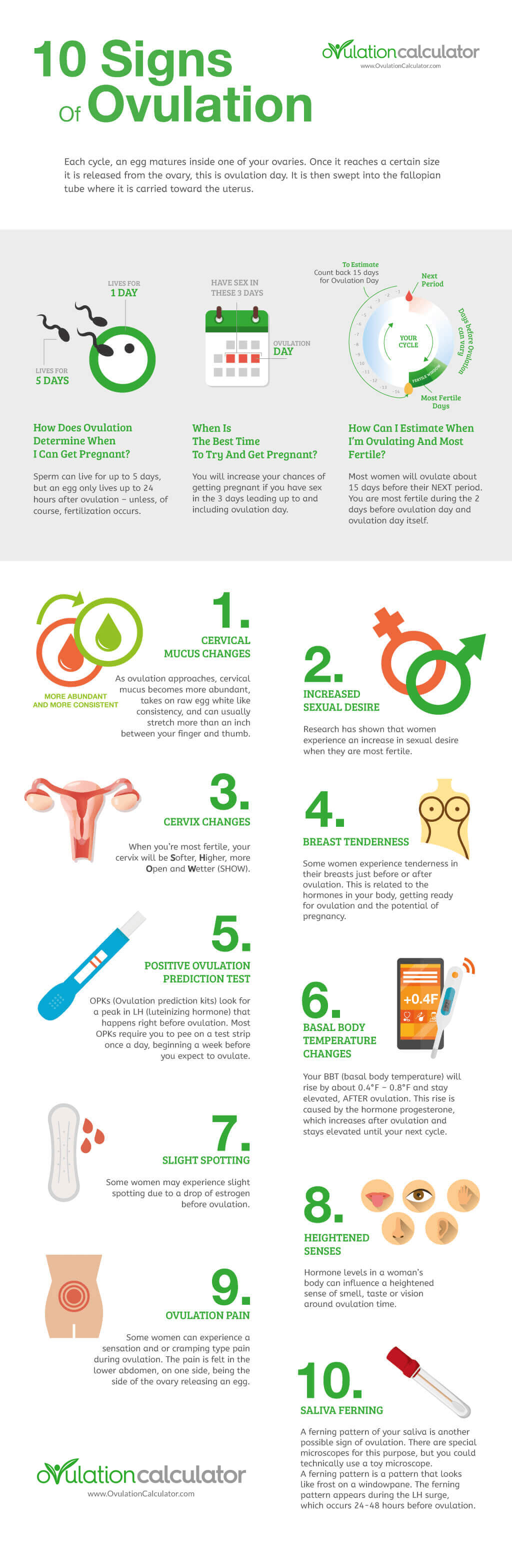 10 Signs of Ovulation Infographic