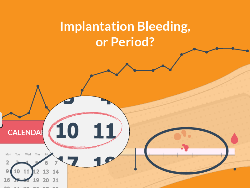 Can Implantation Bleeding Happen 16 Days After Ovulation