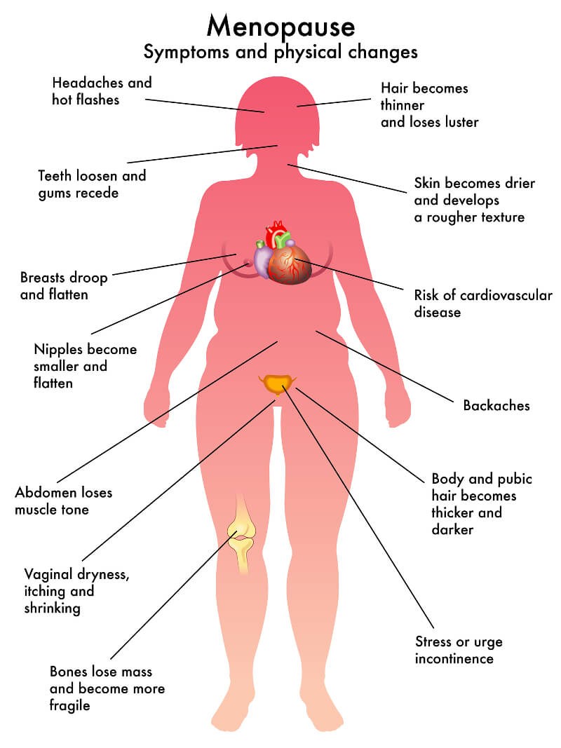 Symptoms and physical changes caused by menopause