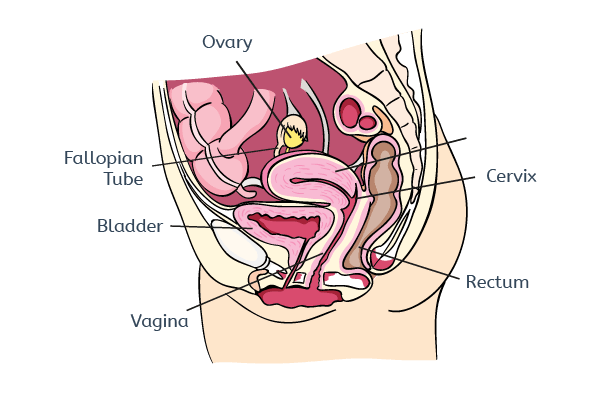 Endometriosis sites