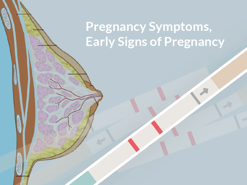 Signs I M Pregnant 17