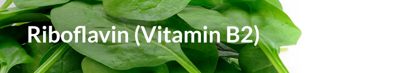 Riboflavin Vitamin B2