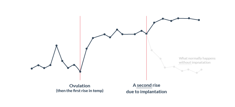 Implantation bleeding bbt basal body temp rises