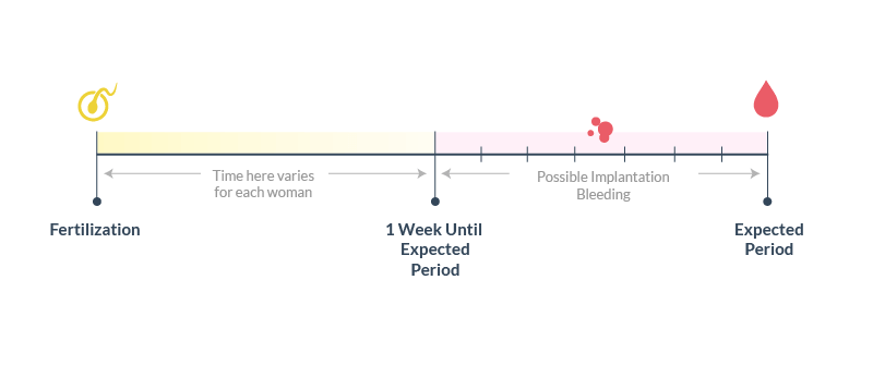 3 Days Implantation Bleed How To Heal