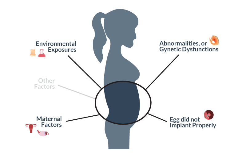 Symptoms and Causes of a Miscarriage