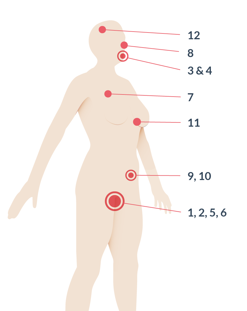 Ovulation signs illustrated on body