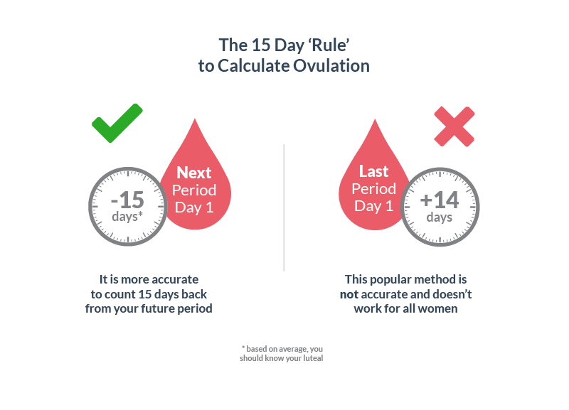 Ovulation normally occues 15 days before your period