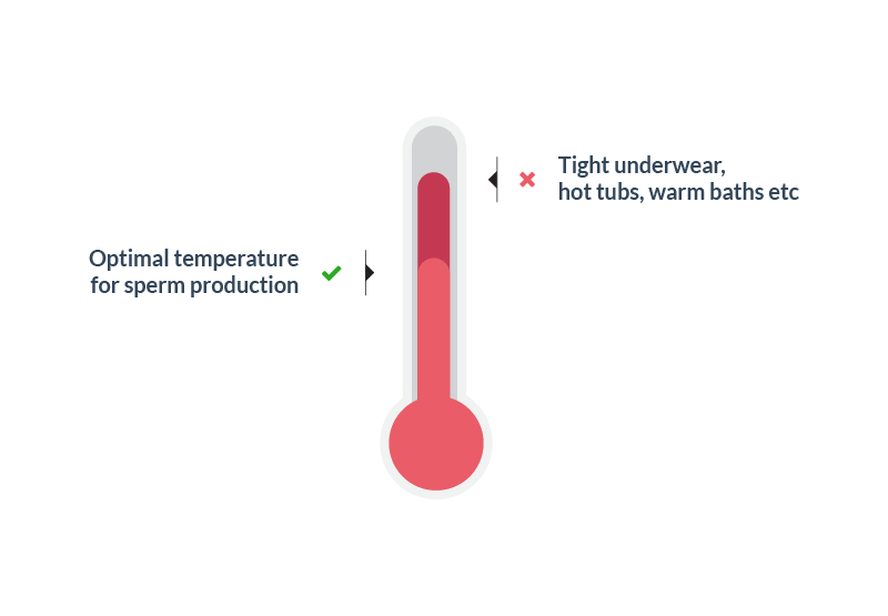 Increse fertility - Keep testicles cool