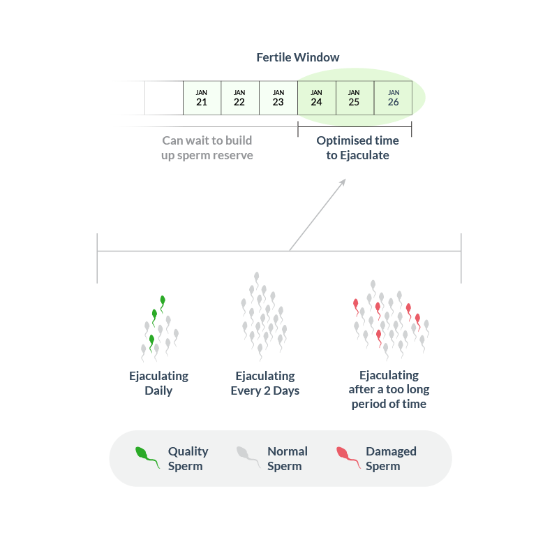 Increse fertility - Fresh sperm