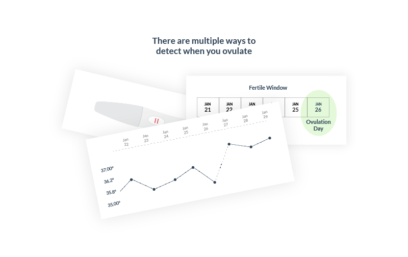 Increse fertility - Track ovulation