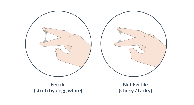 Cervical mucus type observed (none/dry, sticky/tacky, thick/creamy, raw egg white, watery)