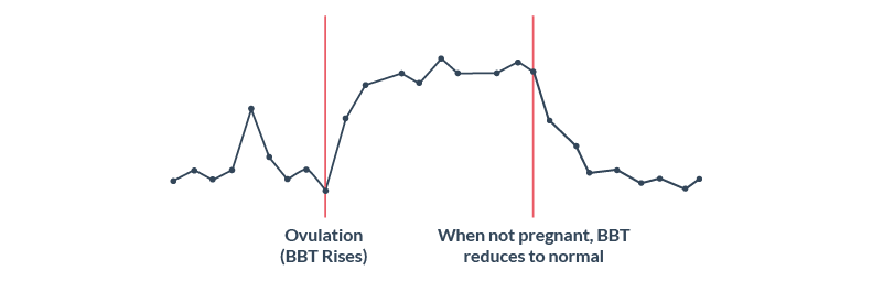 BBT pattern when not pregnant