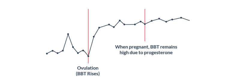 BBT pattern when pregnant
