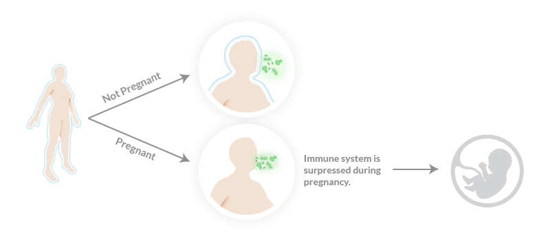 Pregnancy symptom, cold and cough symptoms