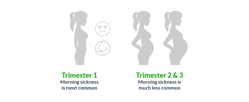 Morning Sickness Chart