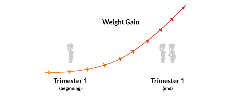 Signs of pregnancy, weight gain